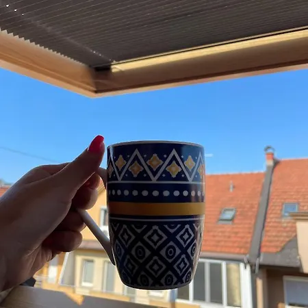Paradise Apartament